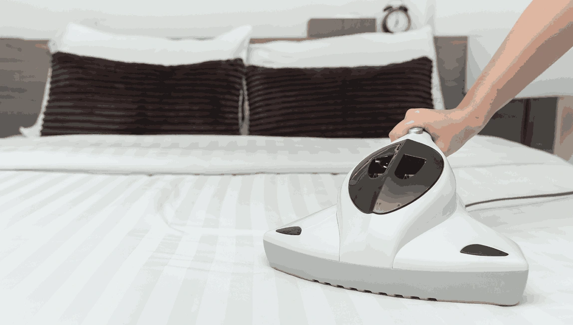 Professional Mattress Cleaning Steels Creek